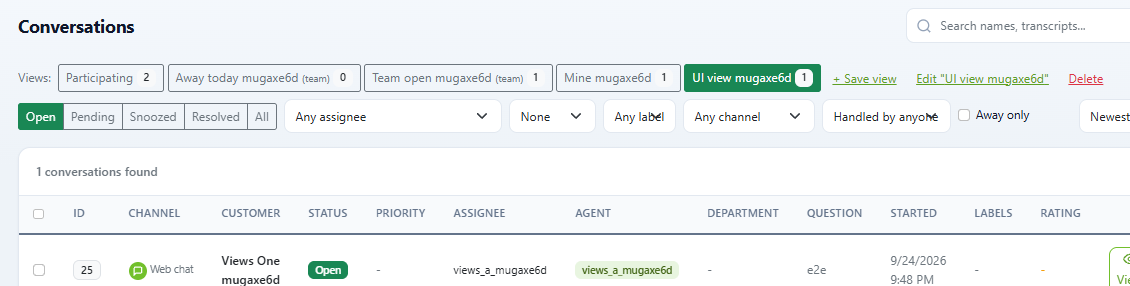 DChat conversations page with saved views for Participating, a team view, a personal view and status, assignee, label and channel filters